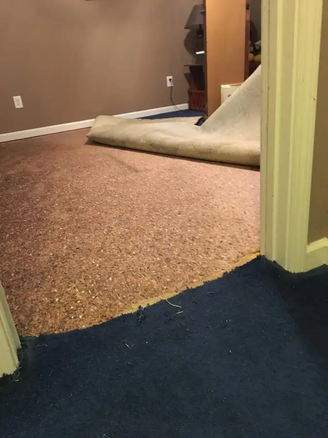 Carpet pad removal revealing water damage during Drying & Dehumidification in Clarcona
