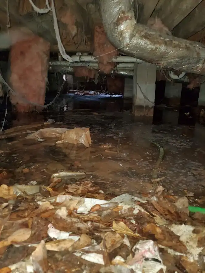 Crawl space flood assessment for Leak Detection & Repair in Clarcona
